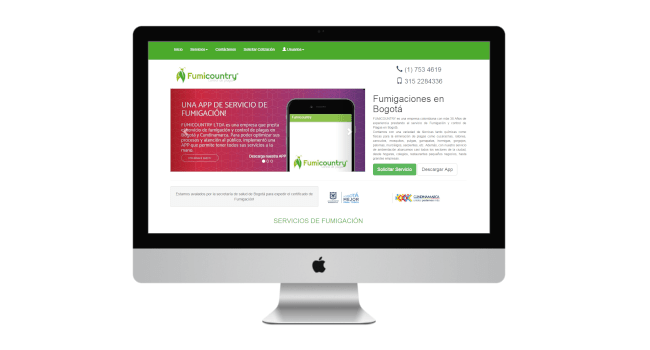 desarrollo web profesional