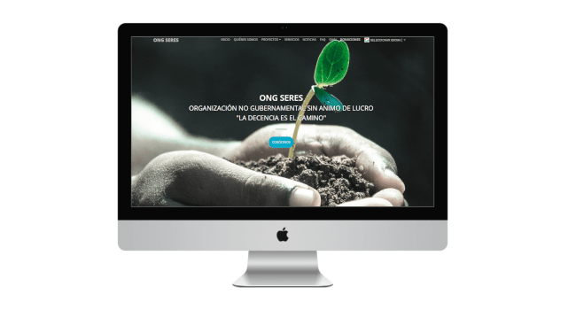diseño de página web para ONG